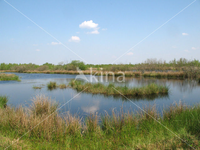 Internationaal Natuurpark Bourtanger Moor-Bargerveen