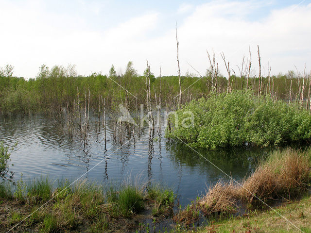 Internationaal Natuurpark Bourtanger Moor-Bargerveen