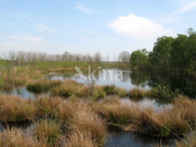 Internationaler Naturpark Bourtanger Moor-Bargerveen