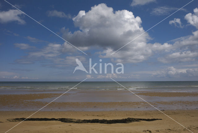 Invasiestrand Omaha Beach