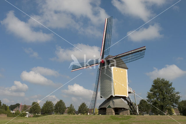 Molen Aurora