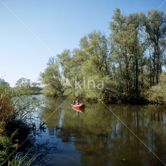 National Park de Biesbosch