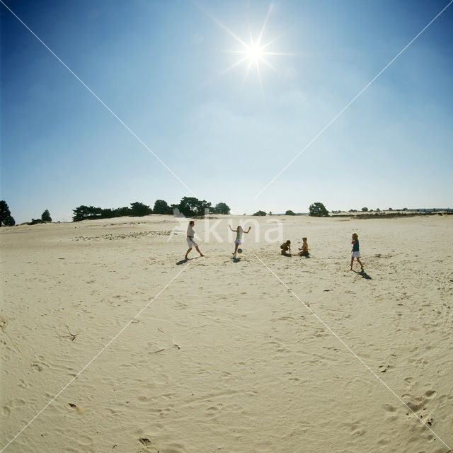 National Park Drents-Friese Wold