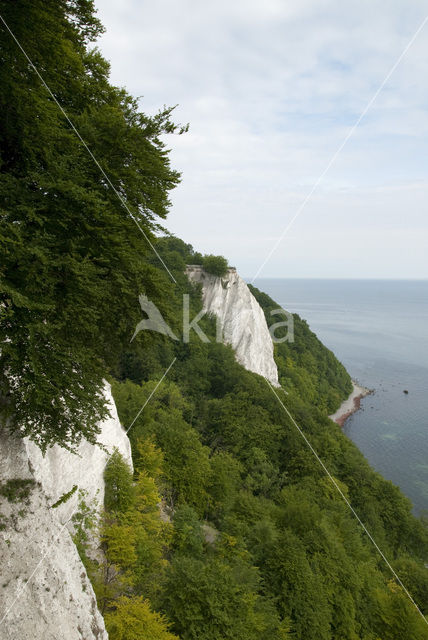 Jasmund National Park