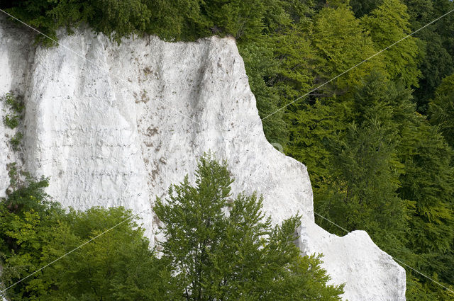 Jasmund National Park