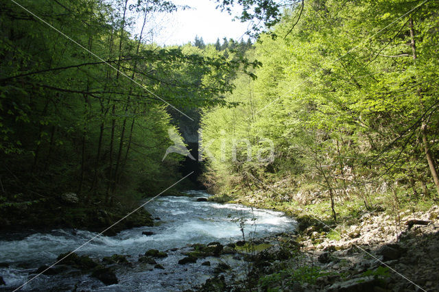 Rakov Skocjan Nature Reserve