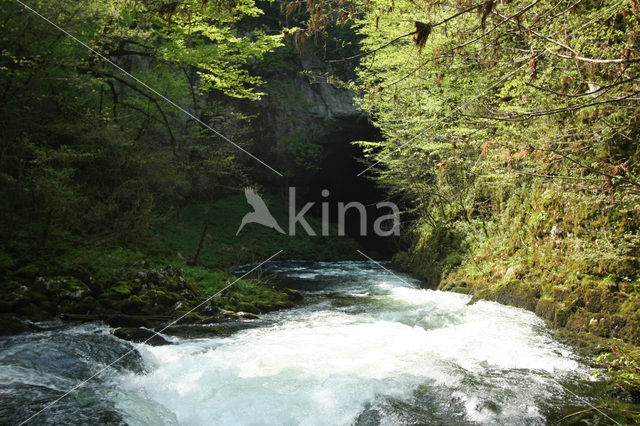 Rakov Skocjan Nature Reserve