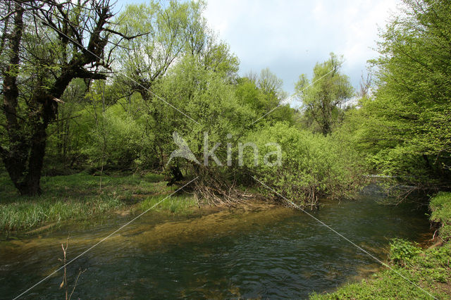 Rakov Skocjan Nature Reserve