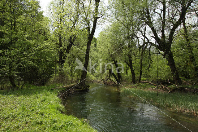 Rakov Skocjan Nature Reserve