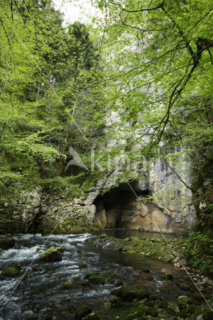 Rakov Skocjan Nature Reserve