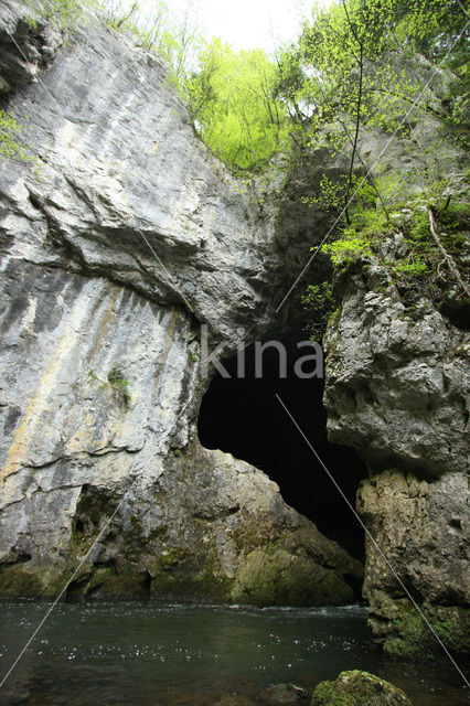 Natuurpark Rakov Skocjan