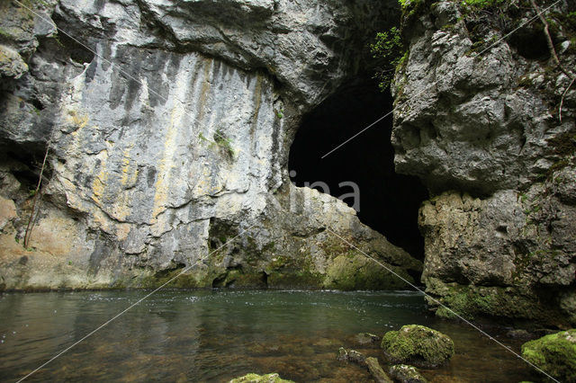 Natuurpark Rakov Skocjan