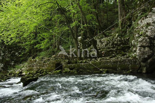 Natuurpark Rakov Skocjan