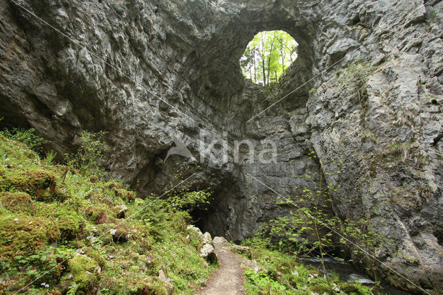 Rakov Skocjan Nature Reserve