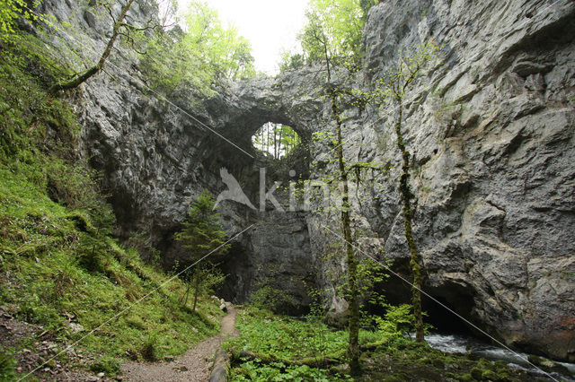 Natuurpark Rakov Skocjan