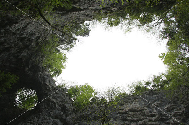 Rakov Skocjan Nature Reserve