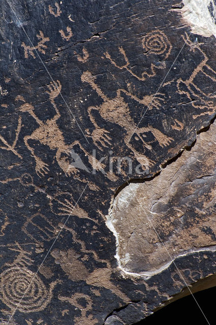 Petrified Forest National Park