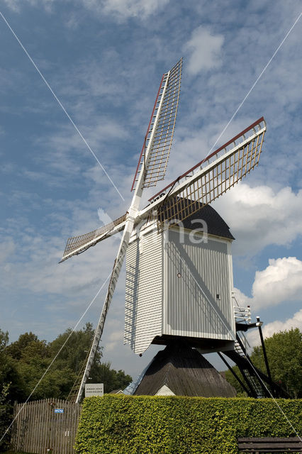 Standerdmolen Bergeijk