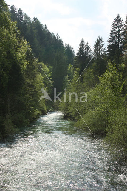 Triglav Nationaal Park