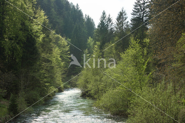 Triglav Nationaal Park