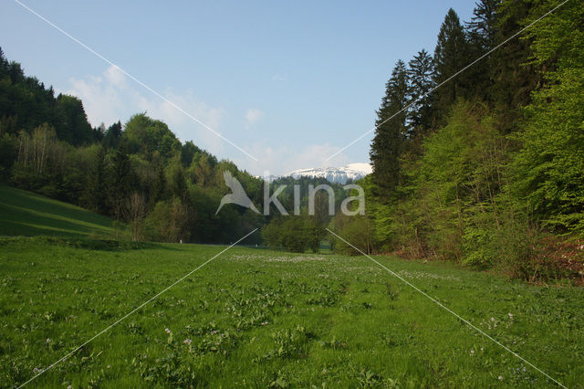 Triglav National Park