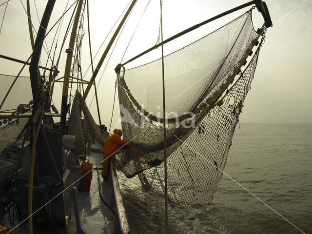 Waddenzee