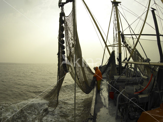 Waddenzee