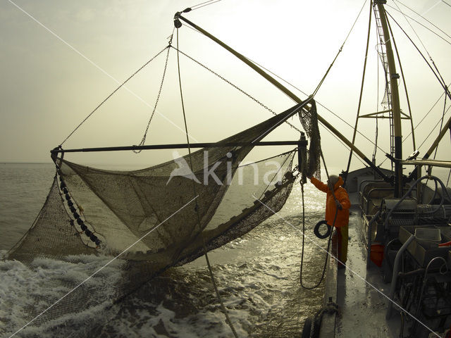 Waddensea