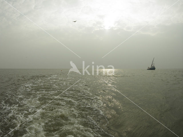 Waddenzee