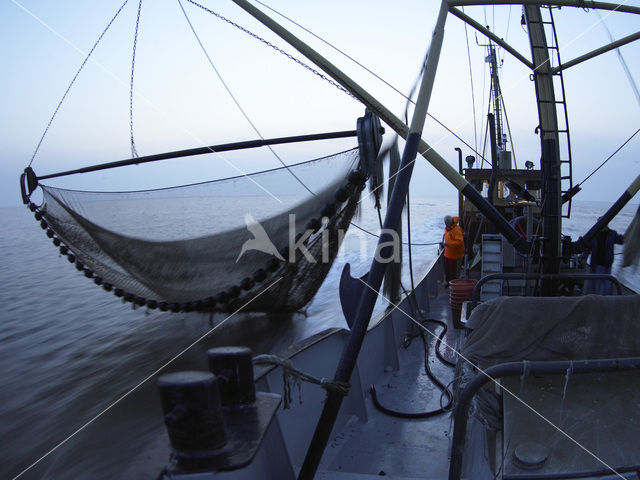 Waddenzee