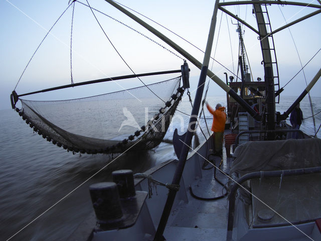 Waddensea