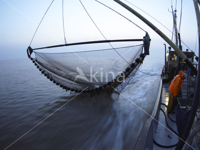 Waddensea