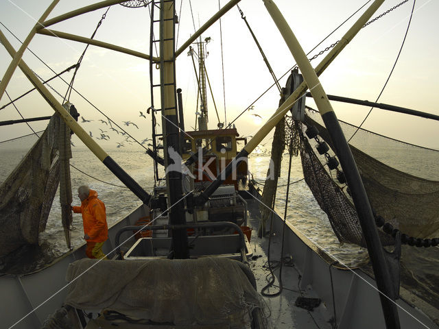 Waddenzee