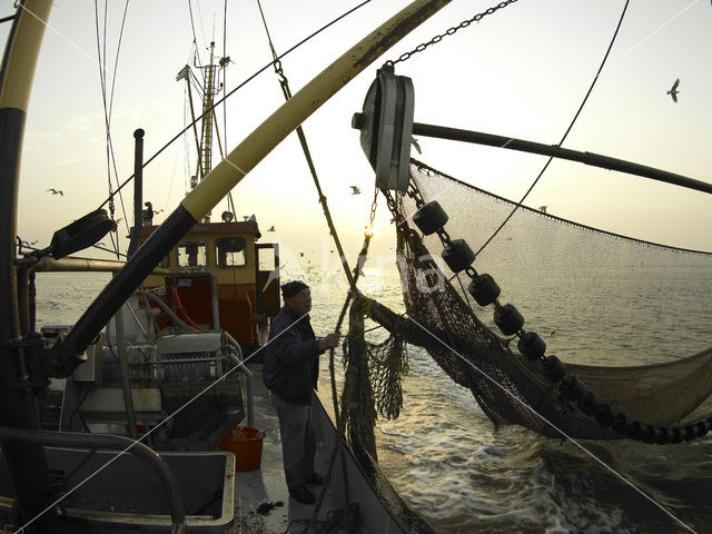 Waddenzee