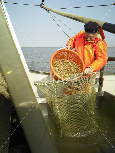 Waddenzee