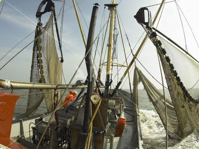 Waddenzee