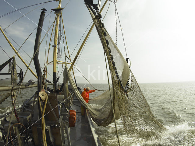 Waddensea