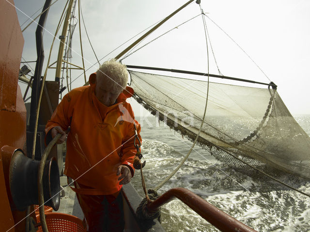 Waddensea