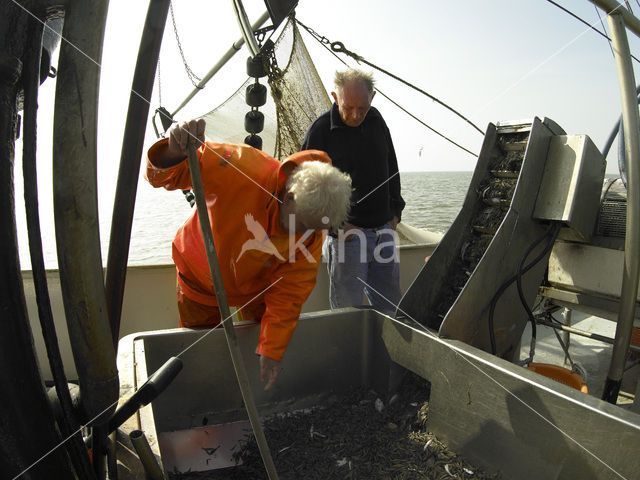 Waddenzee