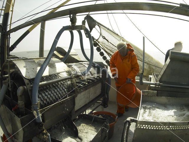 Waddenzee