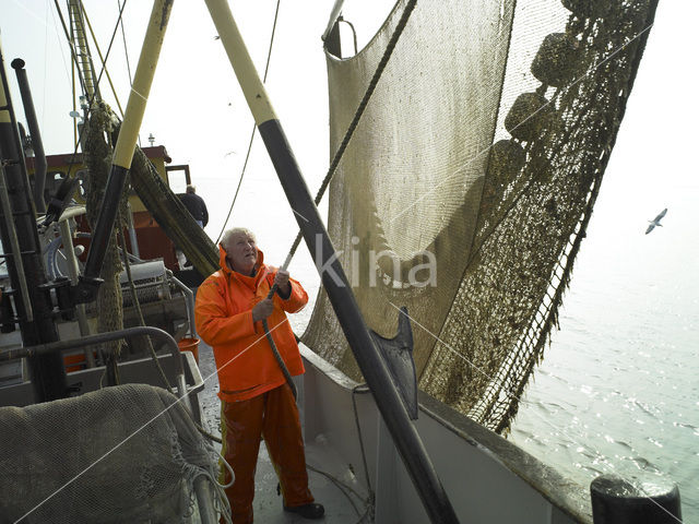 Waddenzee