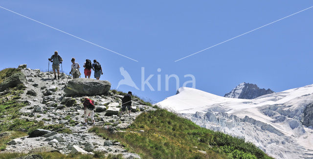 Walliser Alpen