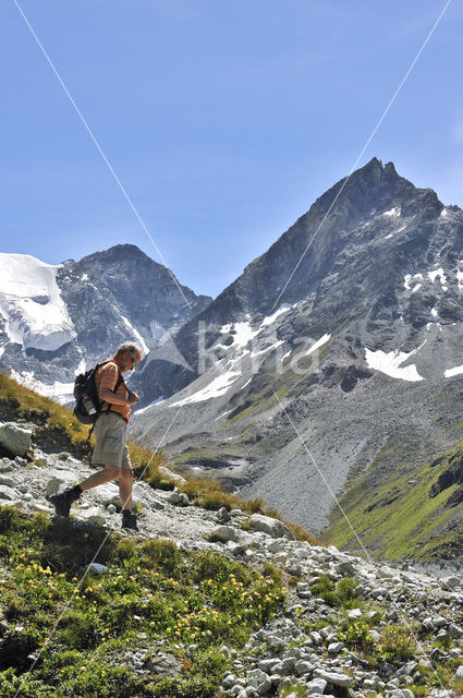 Pennine Alps