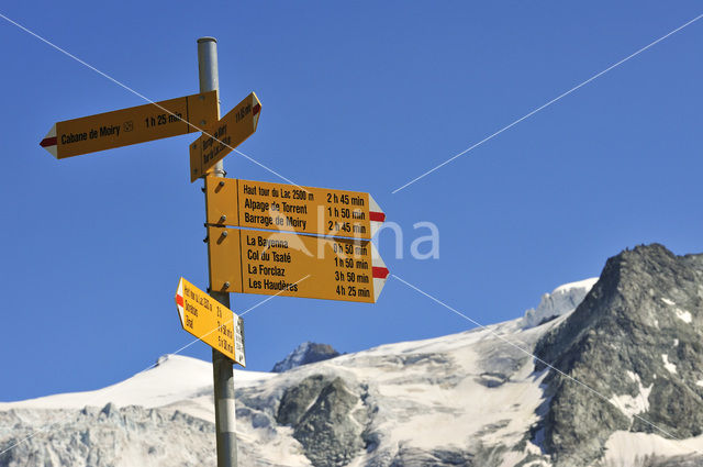 Pennine Alps