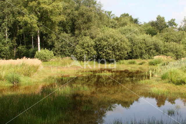 Empese en Tondense Heide