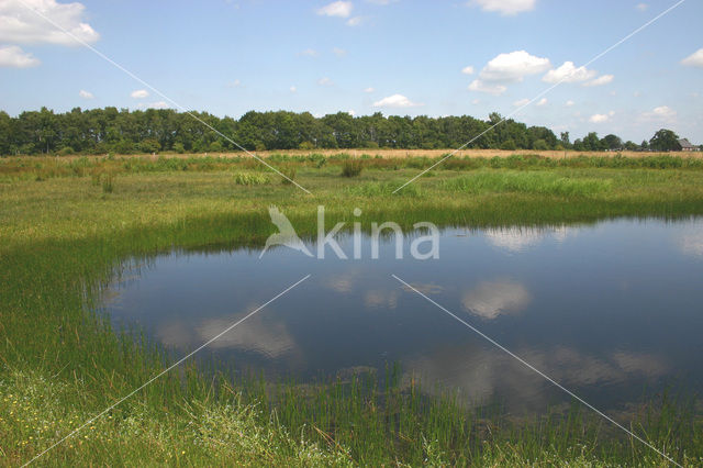 Empese en Tondense Heide