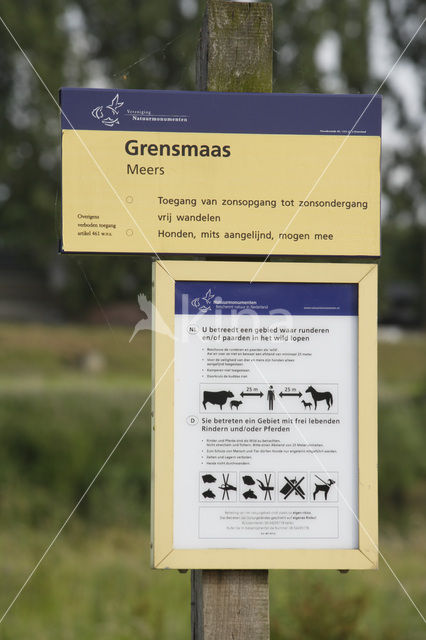 Grensmaas