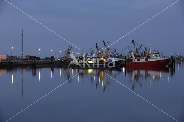 Port of Lauwersoog
