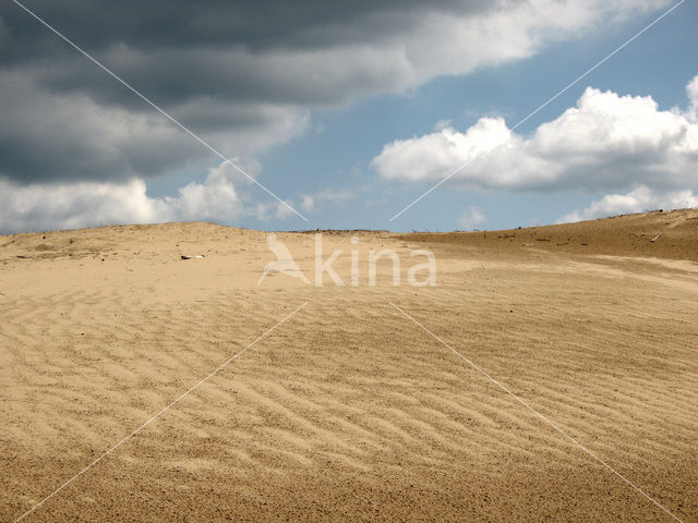 Hoog Buurlose Heide