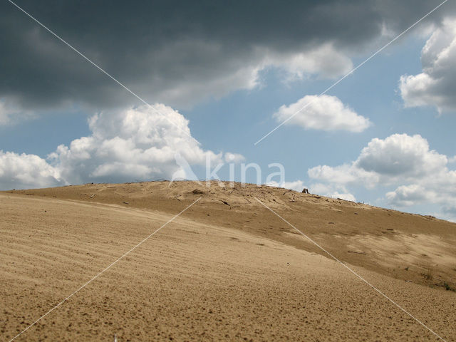 Hoog Buurlose Heide